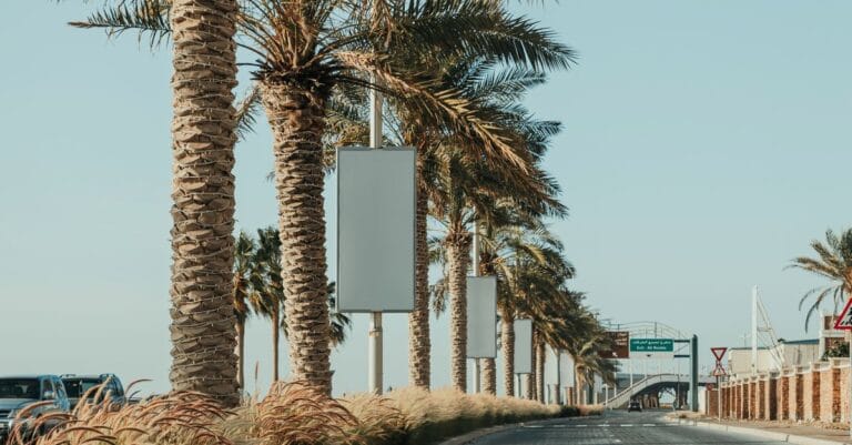 Cartelloni pubblicitari lungo un viale alberato