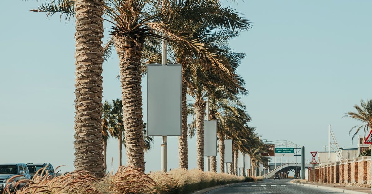 Cartelloni pubblicitari lungo un viale alberato